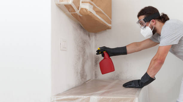 Professional Basement Mold Remediation technician working in Sparta, TN